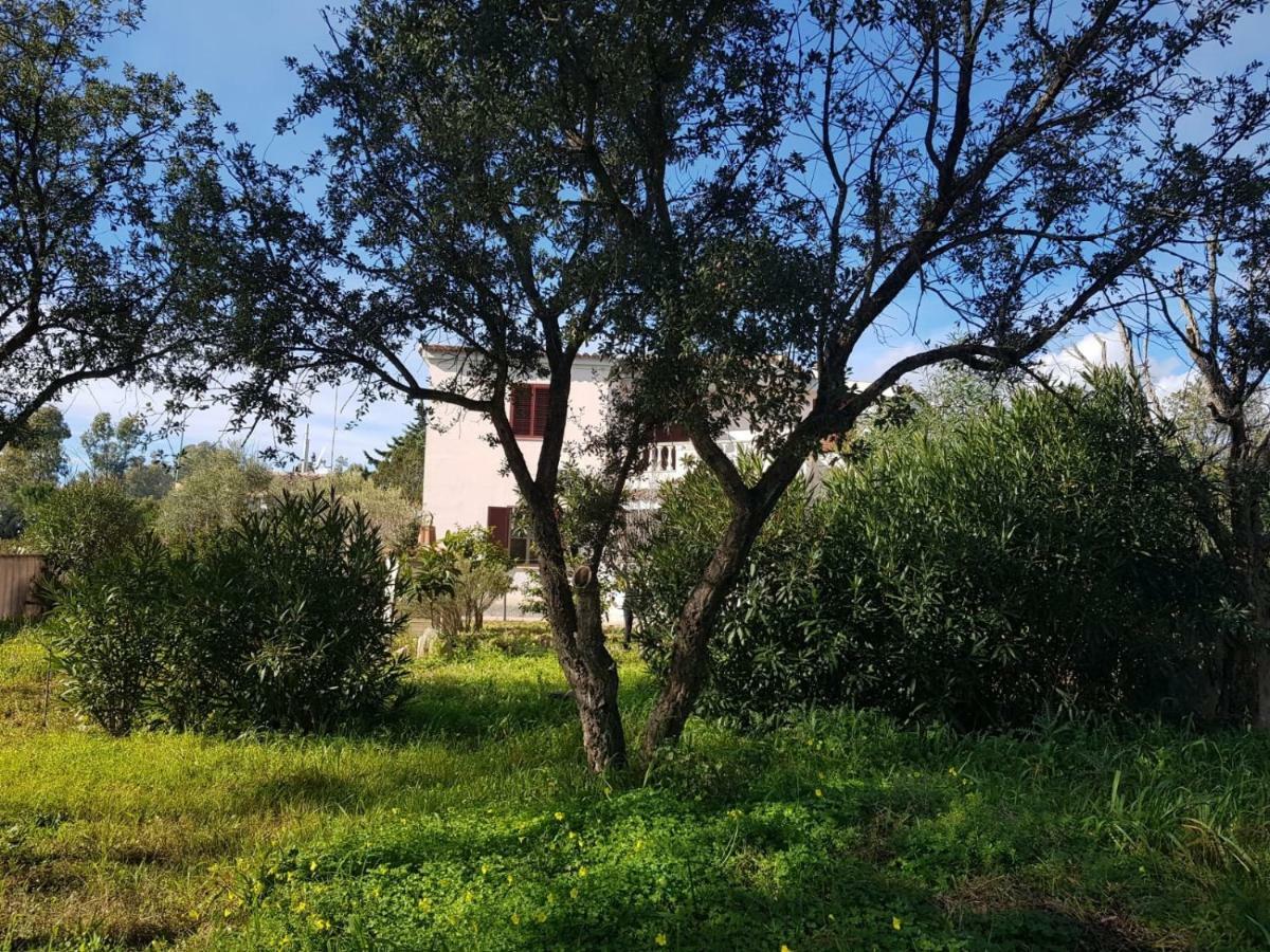 Mimosa Bilocale Cala Liberotto Exterior foto